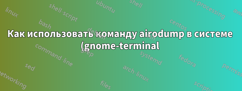 Как использовать команду airodump в системе (gnome-terminal) (ruby)?