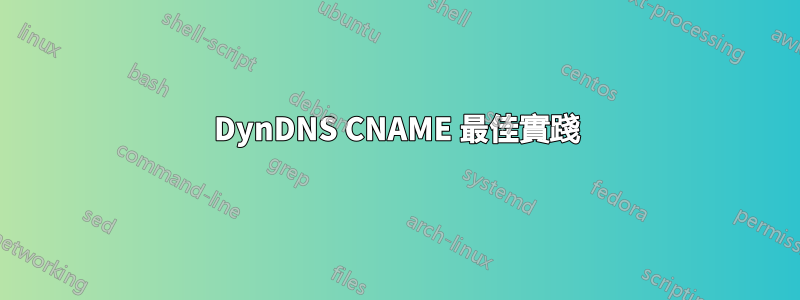 DynDNS CNAME 最佳實踐