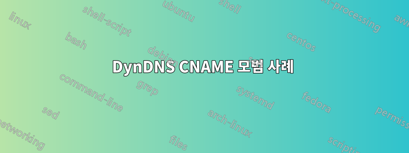 DynDNS CNAME 모범 사례