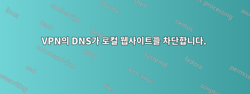 VPN의 DNS가 로컬 웹사이트를 차단합니다.