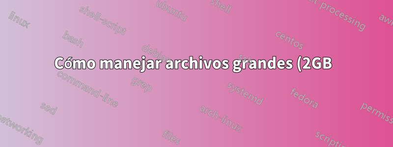 Cómo manejar archivos grandes (2GB 