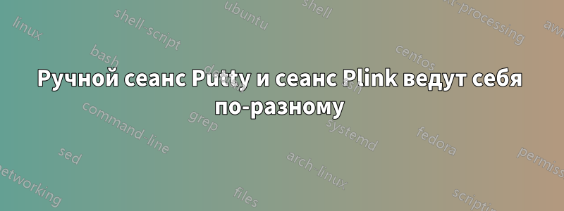 Ручной сеанс Putty и сеанс Plink ведут себя по-разному