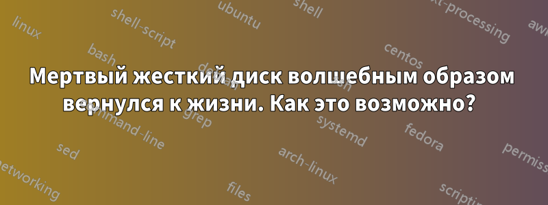 Мертвый жесткий диск волшебным образом вернулся к жизни. Как это возможно? 