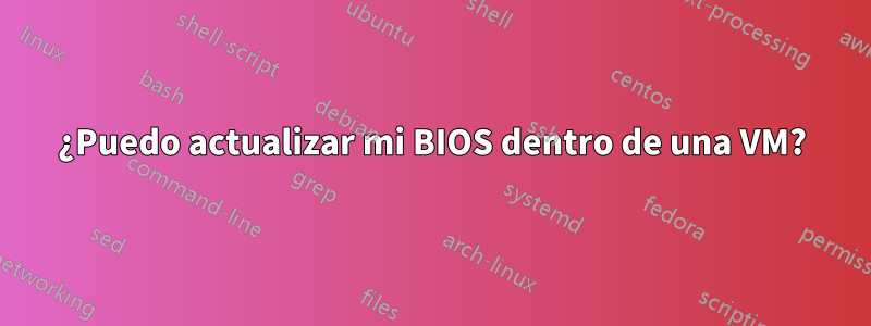 ¿Puedo actualizar mi BIOS dentro de una VM?