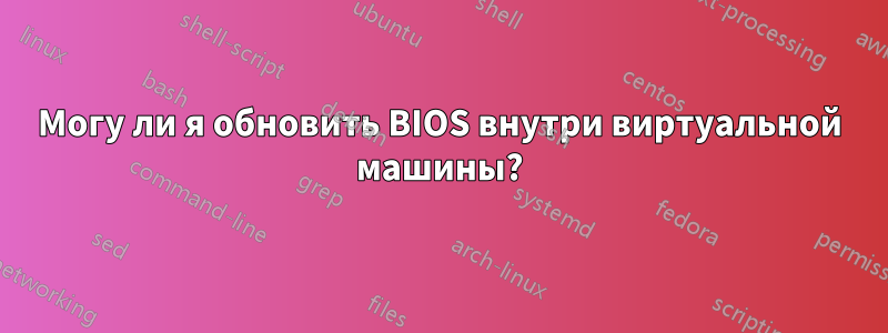 Могу ли я обновить BIOS внутри виртуальной машины?