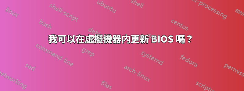 我可以在虛擬機器內更新 BIOS 嗎？