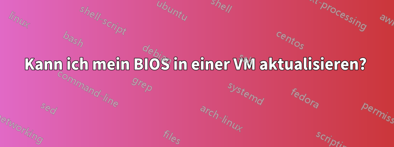 Kann ich mein BIOS in einer VM aktualisieren?