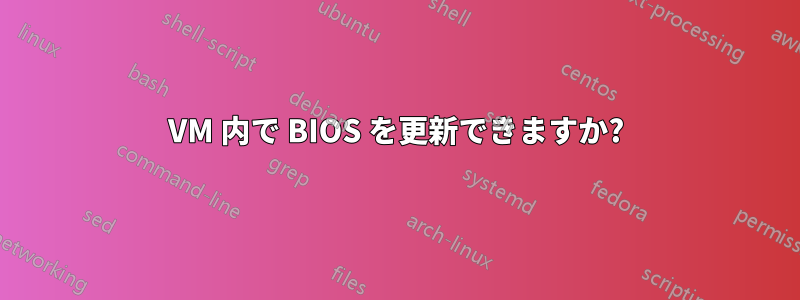 VM 内で BIOS を更新できますか?