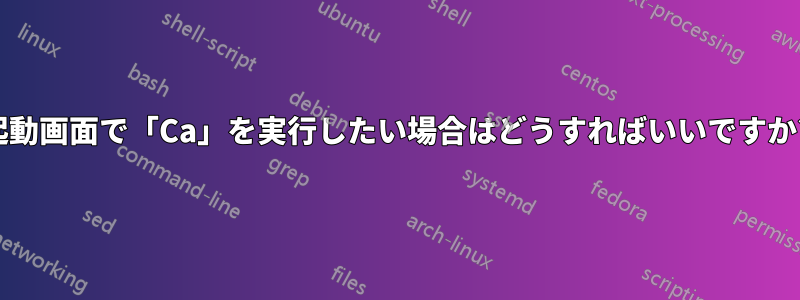 起動画面で「Ca」を実行したい場合はどうすればいいですか?