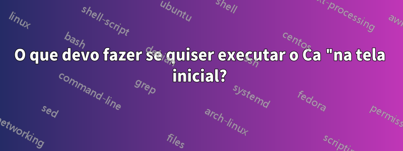 O que devo fazer se quiser executar o Ca "na tela inicial?