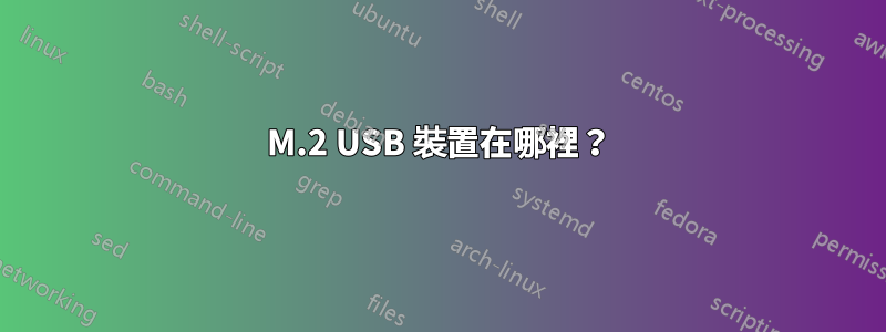 M.2 USB 裝置在哪裡？