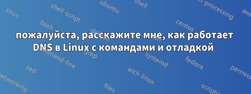 пожалуйста, расскажите мне, как работает DNS в Linux с командами и отладкой 