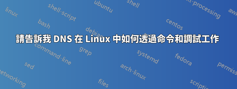 請告訴我 DNS 在 Linux 中如何透過命令和調試工作