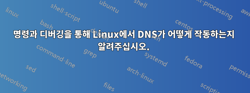 명령과 디버깅을 통해 Linux에서 DNS가 어떻게 작동하는지 알려주십시오.