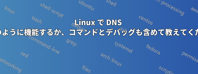 Linux で DNS がどのように機能するか、コマンドとデバッグも含めて教えてください 