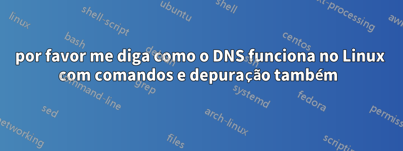 por favor me diga como o DNS funciona no Linux com comandos e depuração também 