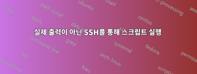 실제 출력이 아닌 SSH를 통해 스크립트 실행