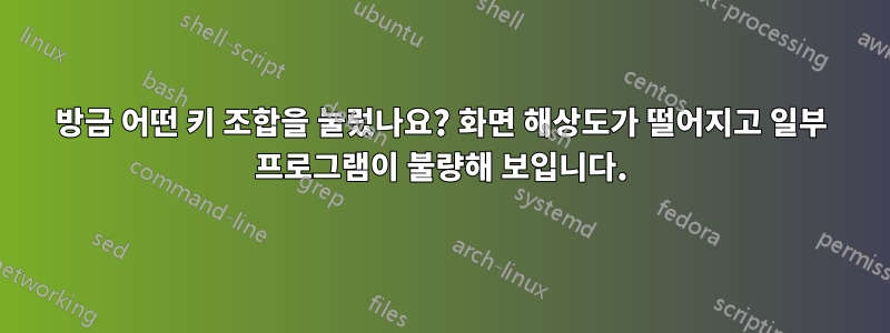 방금 어떤 키 조합을 눌렀나요? 화면 해상도가 떨어지고 일부 프로그램이 불량해 보입니다.