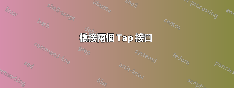 橋接兩個 Tap 接口