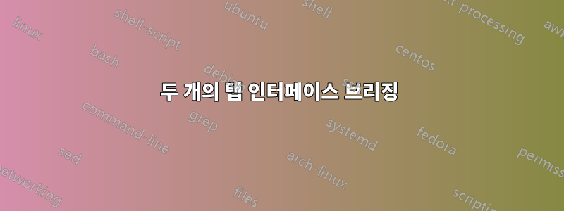 두 개의 탭 인터페이스 브리징