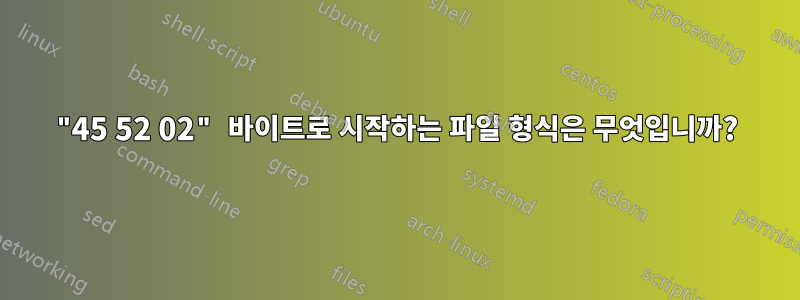 "45 52 02" 바이트로 시작하는 파일 형식은 무엇입니까?