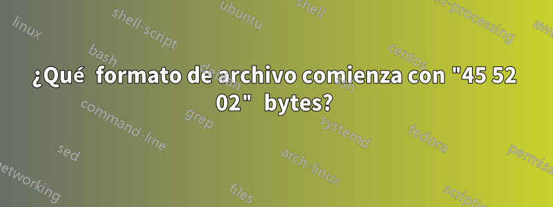 ¿Qué formato de archivo comienza con "45 52 02" bytes?