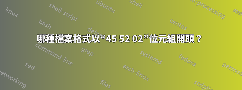 哪種檔案格式以“45 52 02”位元組開頭？