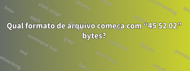 Qual formato de arquivo começa com “45 52 02” bytes?