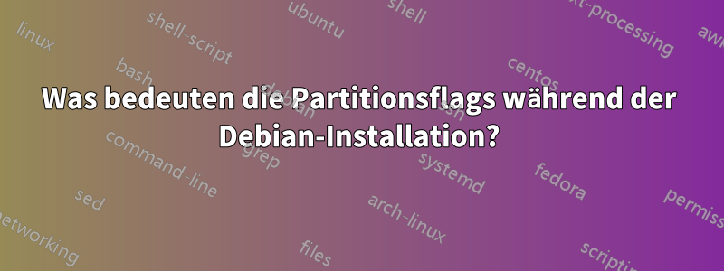 Was bedeuten die Partitionsflags während der Debian-Installation?