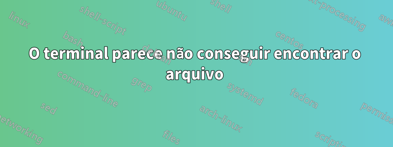 O terminal parece não conseguir encontrar o arquivo