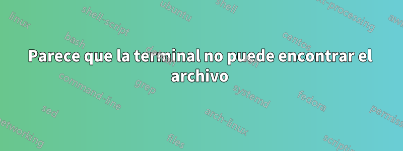 Parece que la terminal no puede encontrar el archivo