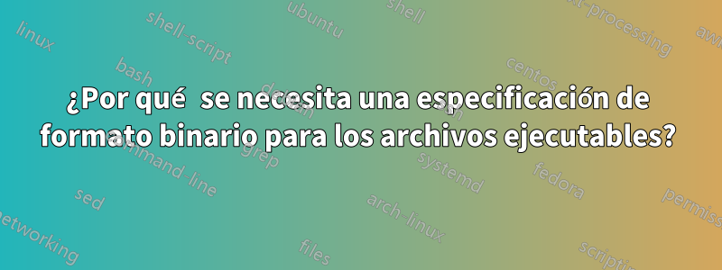 ¿Por qué se necesita una especificación de formato binario para los archivos ejecutables?