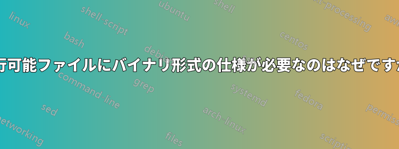 実行可能ファイルにバイナリ形式の仕様が必要なのはなぜですか?