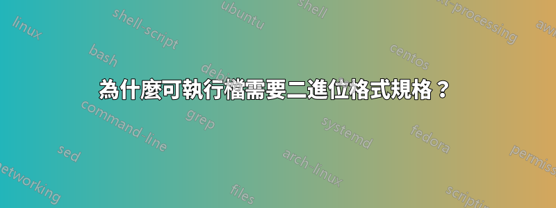 為什麼可執行檔需要二進位格式規格？