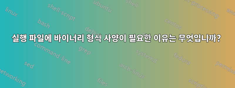 실행 파일에 바이너리 형식 사양이 필요한 이유는 무엇입니까?