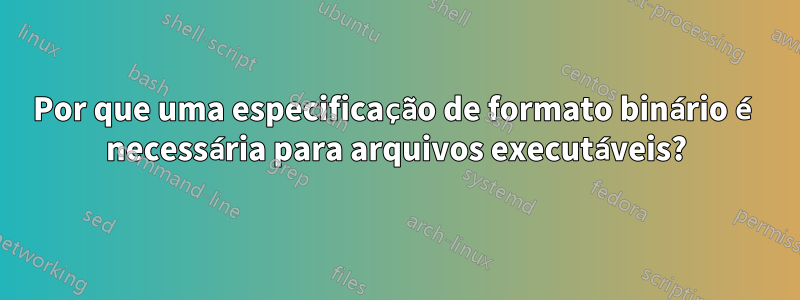 Por que uma especificação de formato binário é necessária para arquivos executáveis?