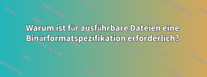 Warum ist für ausführbare Dateien eine Binärformatspezifikation erforderlich?