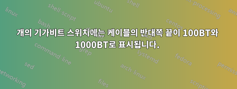 2개의 기가비트 스위치에는 케이블의 반대쪽 끝이 100BT와 1000BT로 표시됩니다.