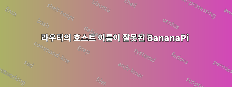 라우터의 호스트 이름이 잘못된 BananaPi