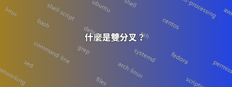 什麼是雙分叉？