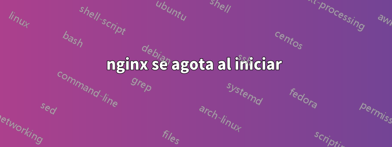 nginx se agota al iniciar