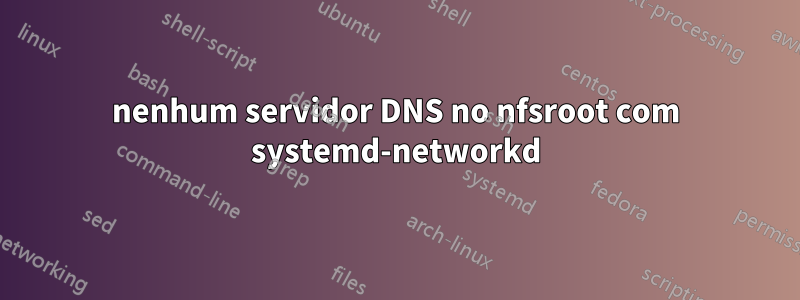 nenhum servidor DNS no nfsroot com systemd-networkd