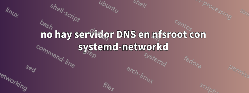 no hay servidor DNS en nfsroot con systemd-networkd