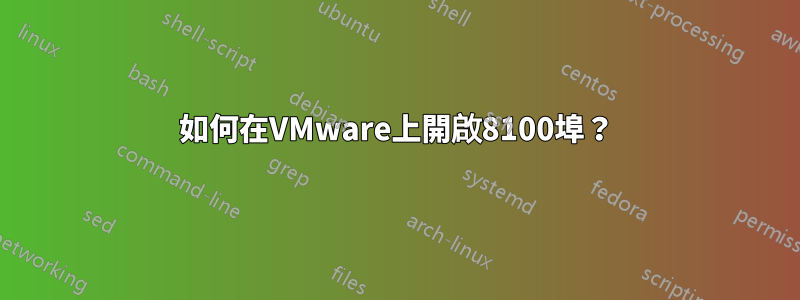 如何在VMware上開啟8100埠？