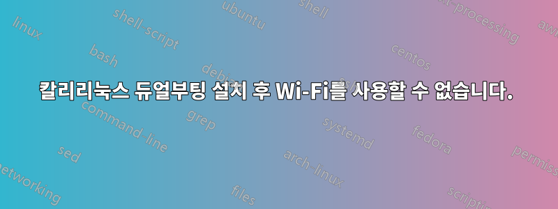 칼리리눅스 듀얼부팅 설치 후 Wi-Fi를 사용할 수 없습니다.