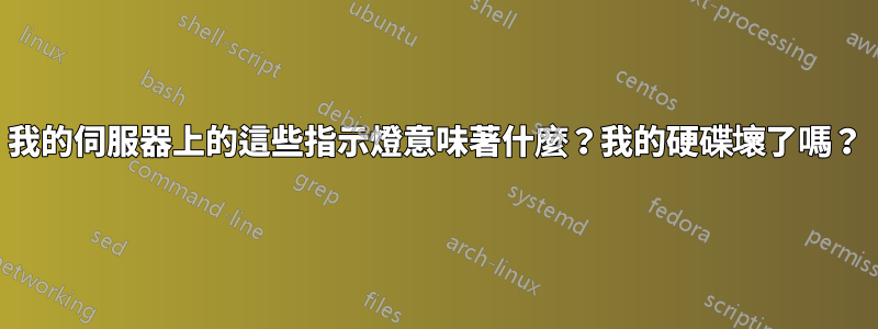 我的伺服器上的這些指示燈意味著什麼？我的硬碟壞了嗎？