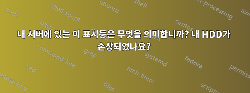 내 서버에 있는 이 표시등은 무엇을 의미합니까? 내 HDD가 손상되었나요?