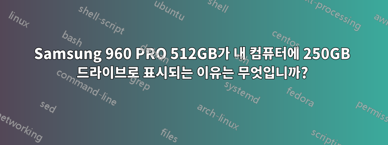 Samsung 960 PRO 512GB가 내 컴퓨터에 250GB 드라이브로 표시되는 이유는 무엇입니까?