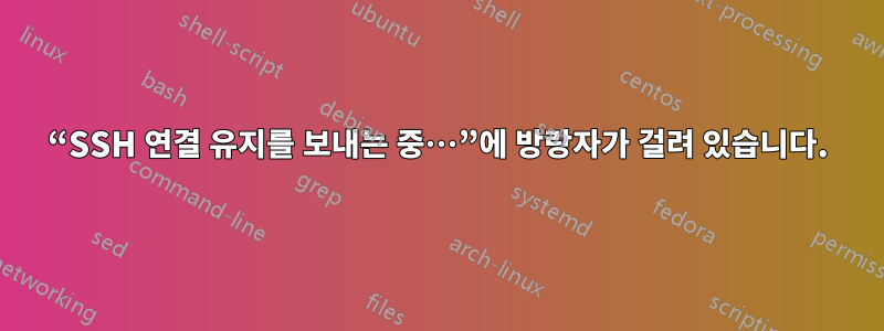 “SSH 연결 유지를 보내는 중…”에 방랑자가 걸려 있습니다.