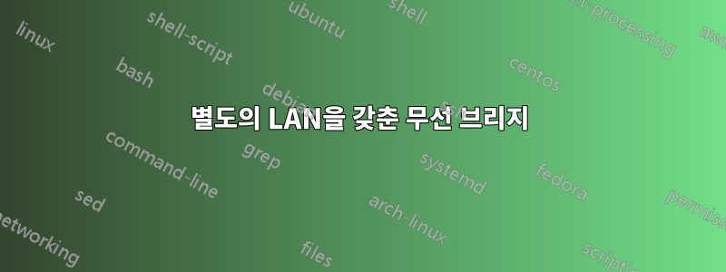 별도의 LAN을 갖춘 무선 브리지